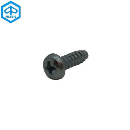 Schraube M4.2 x 32 mm zu Abdeckung