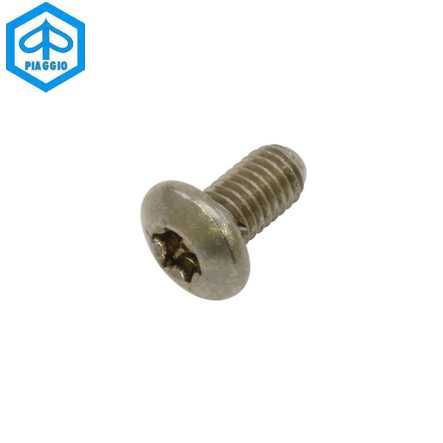 Schrauben zu Wärmeblech M5x12mm